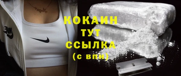 соль ск Заводоуковск