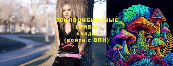 дмт Ельня