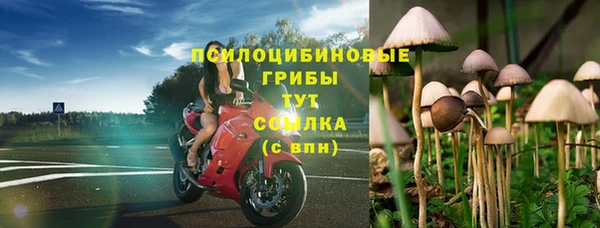 соль ск Заводоуковск