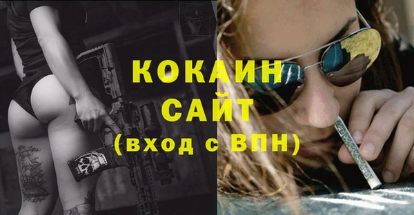 соль ск Заводоуковск